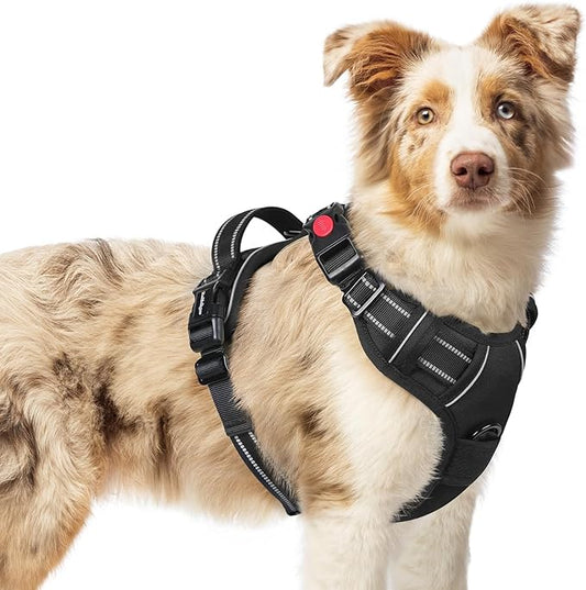 rabbitgoo Dog Harness Medium Sized, No Pull Pet Harness by rabbitgoo