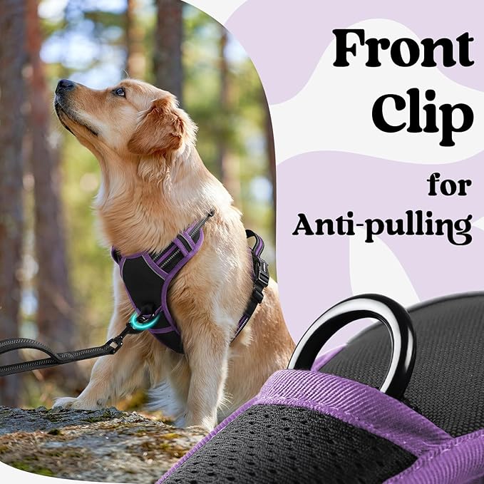rabbitgoo Dog Harness for Large, No Pull Easy On & Off - Image 6