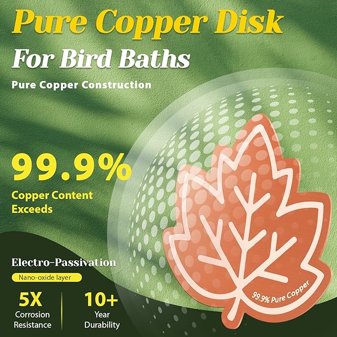 3Pcs Bird Bath Copper Purification Disk 99.99% Pure Copper Water Cleaning Discs - Image 3