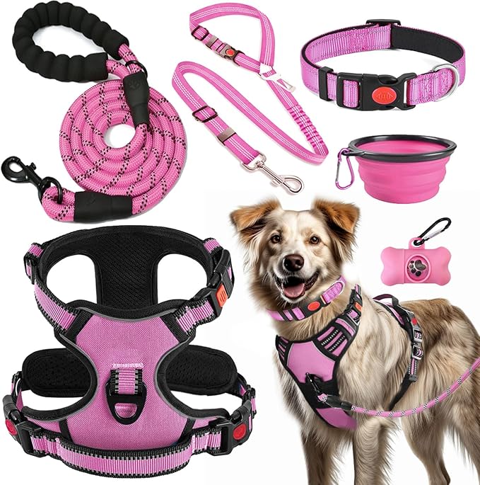 LOBEVE No Pull Dog Harness, Collar & Leash Set | Includes Dog Seat Belt by Lovebegetslove