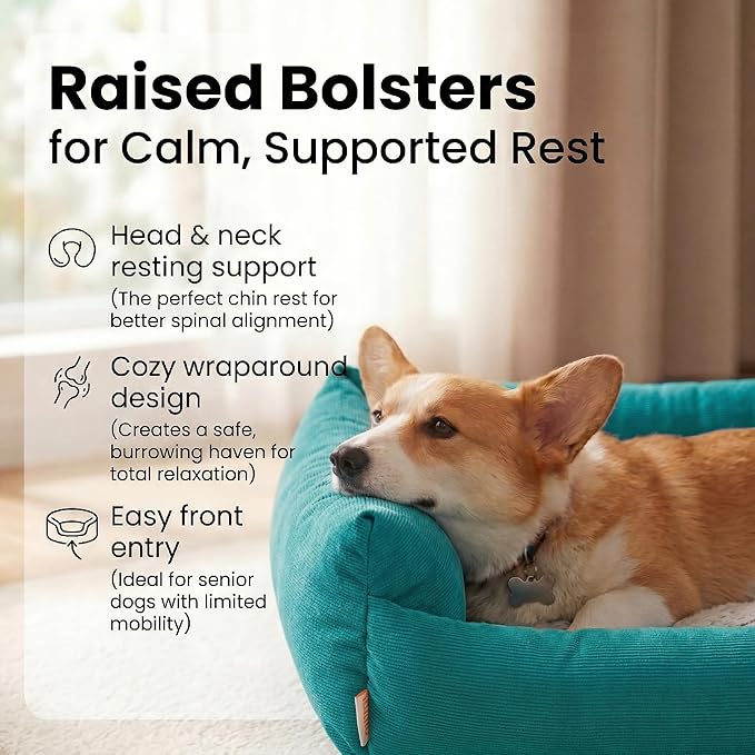 Cat Beds for Indoor Cats Washable, Small Dog Bed for Small Dogs, Orthopedic Dog - Image 2