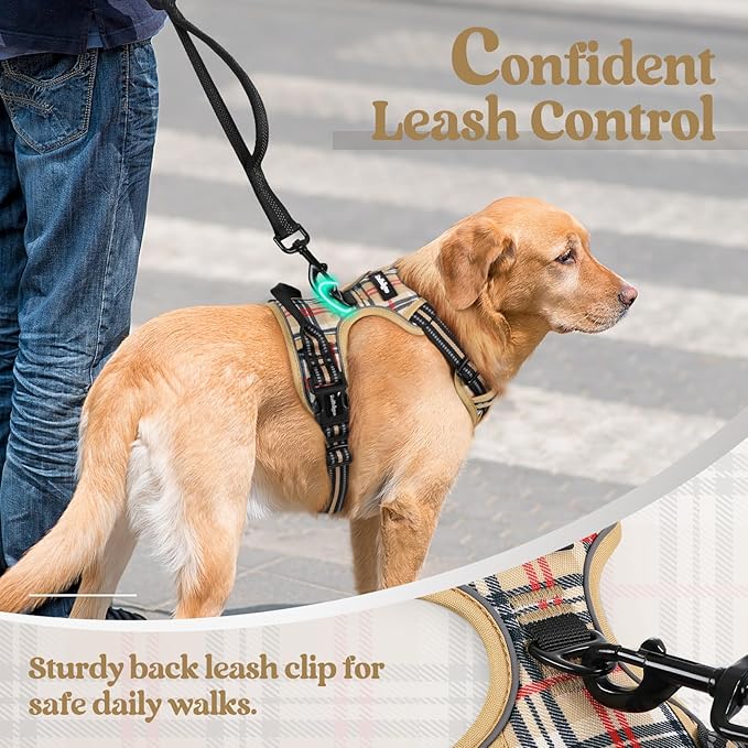 rabbitgoo Dog Harness No Pull - Image 6