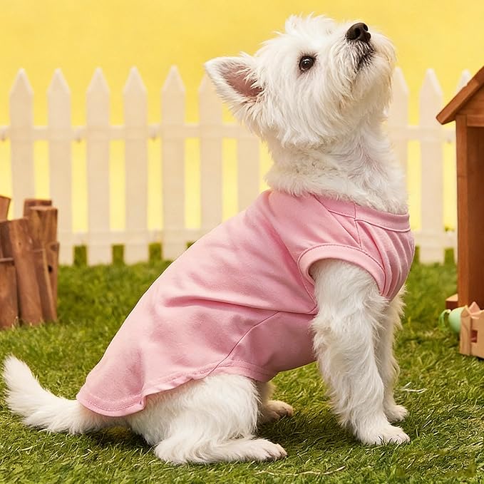 Custom Dog Shirt, Personalized Dog Clothes - Image 5