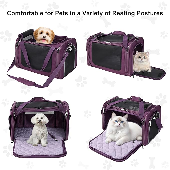 EliteField Deluxe Soft-Sided Pet Carrier, Travel Bag - Image 2