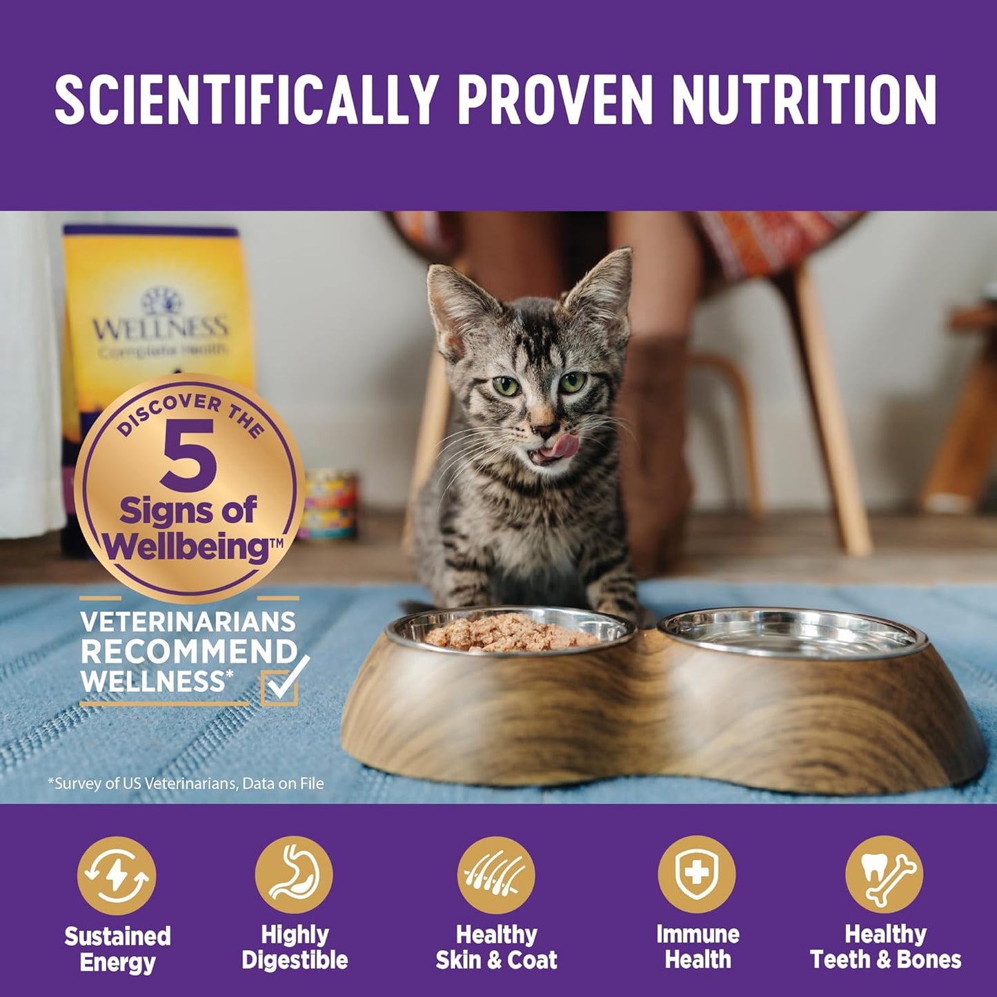 Wellness Complete Health Sliced Adult Wet Cat Food, Natural, Protein-Rich, Grain Free, 5.5 Ounce, 24 Pack, (Turkey & Salmon Entrée)