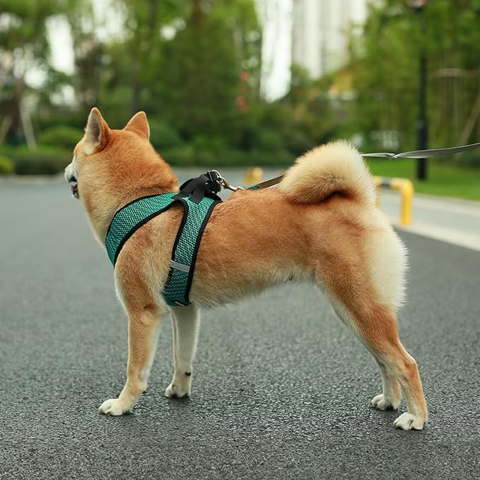 Voyager Step-in Air Dog Harness - Image 8