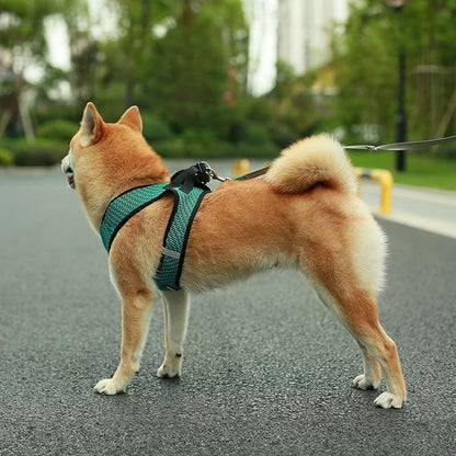 Voyager Step-in Air Dog Harness - Image 8