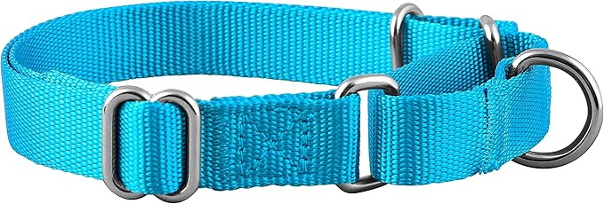 Native Pup Martingale Dog Collar, Adjustable - Image 2