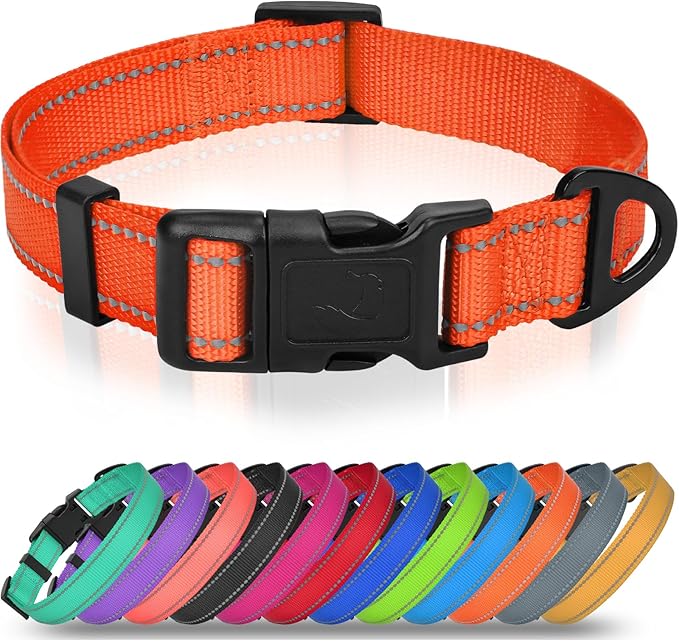 Joytale Small Dog Collar, Durable Double-Sided Reflective Nylon Collar by Joytale