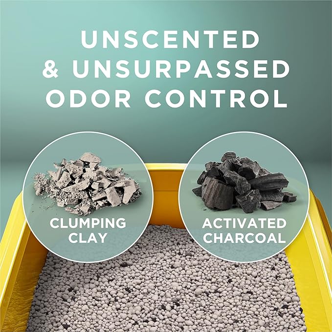 Purina Tidy Cats Free and Clean Unscented Clumping Cat Litter - 38 lb. Box - Image 5