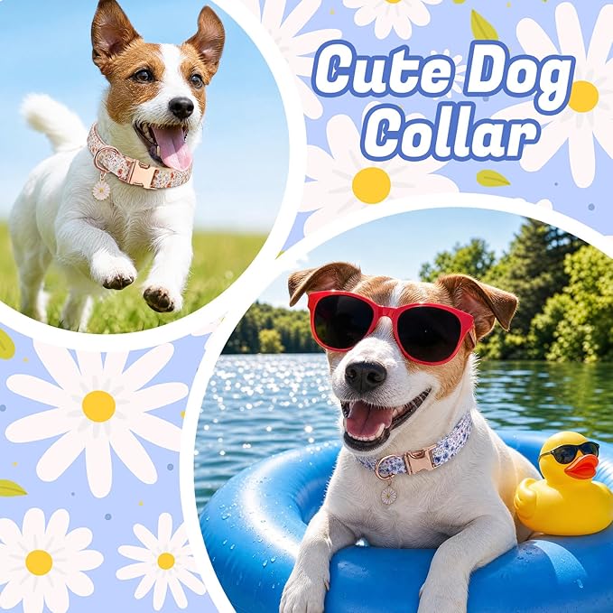 3 Pack Floral Dog Collars for Medium Dogs Flower Dog Collars - Image 5
