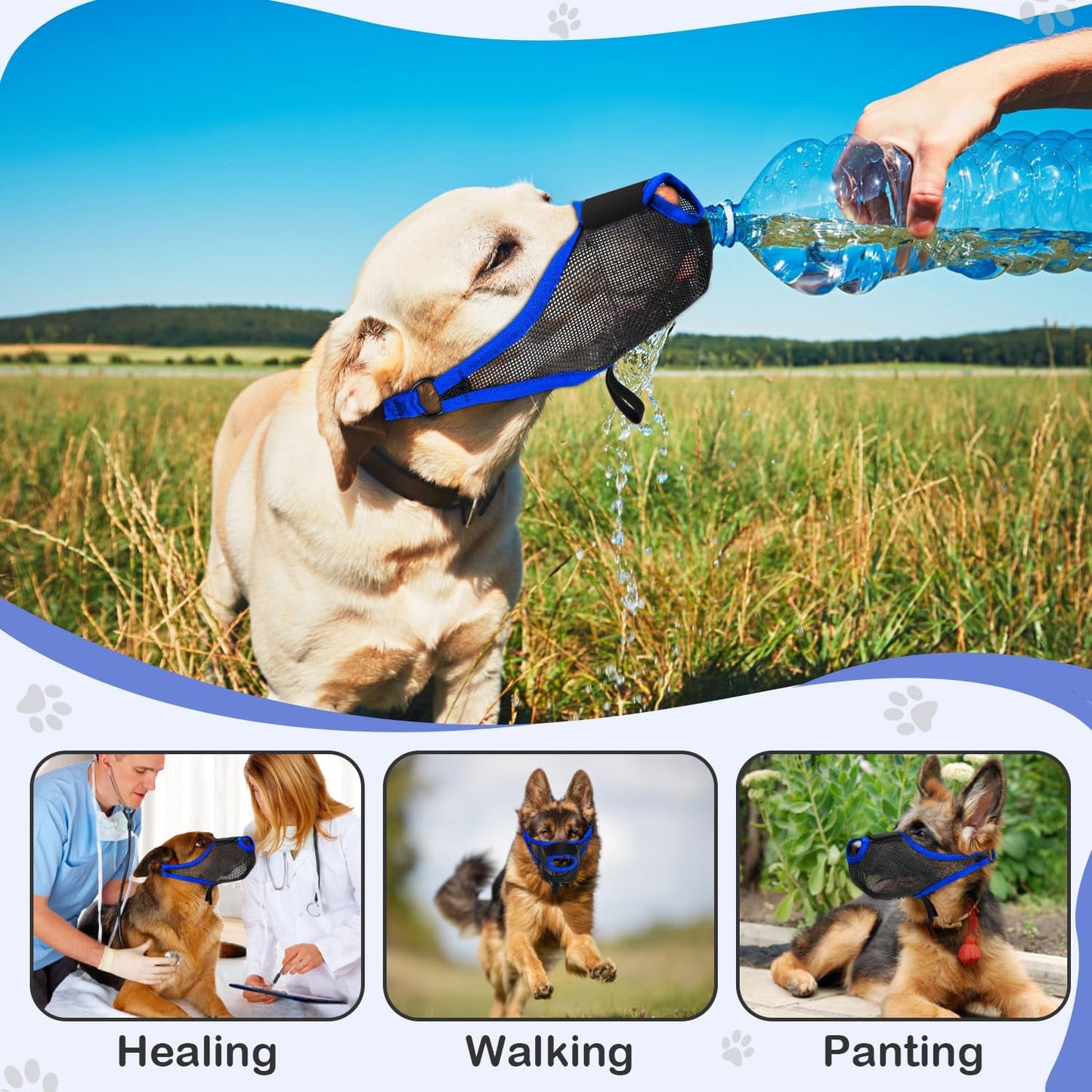 Dog Muzzle, Soft Air Mesh Muzzle for Small Medium Large Dogs Anti Biting Barking Chewing Scavenging, Breathable Adjustable Loop Pets Muzzle with Front Opening Design Allows Panting Drinking (Blue,XL)