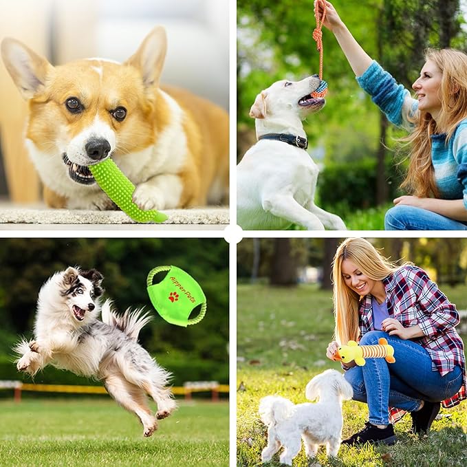 Aipper Dog Toys 25 Pack for Fun and Teeth Cleaning, Puppy Chew Toys Pack - Image 7
