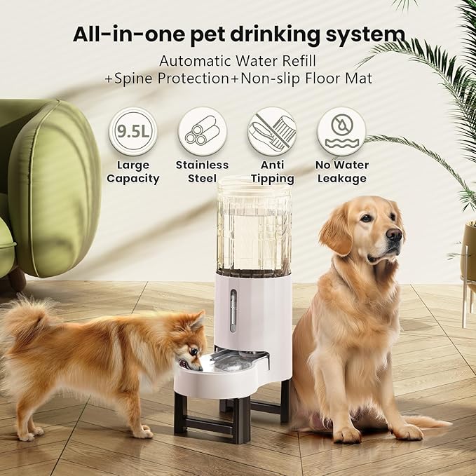 CZPET Elevated Dog Water Bowl Dispenser - Image 2