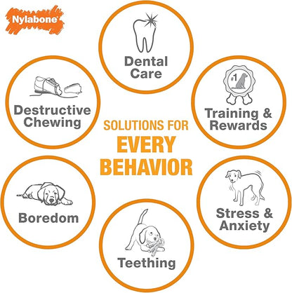 Nylabone Ring Bone Chew Toy for Puppies, Puppy Teething Toys, Puppy Enrichment - Image 5