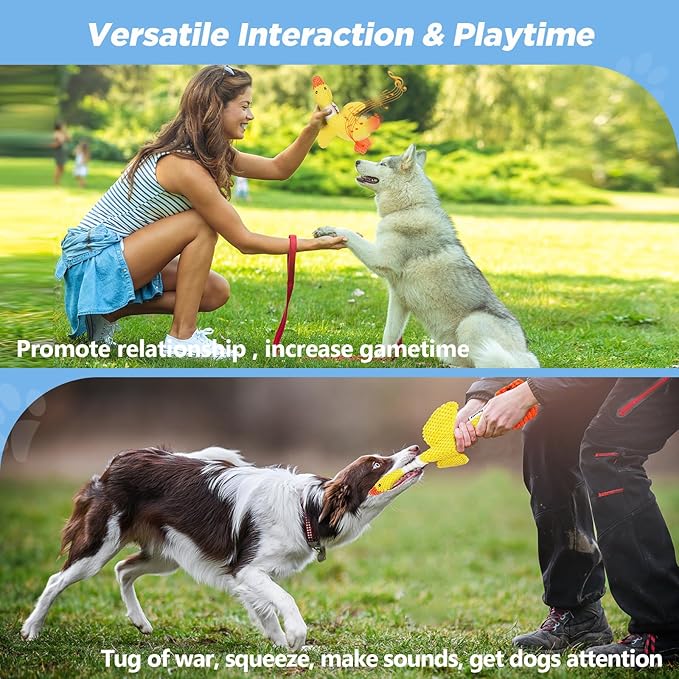 Vitscan Durable Dog Toys for Small Large Dogs, Dog Chew Toy for Not Aggressive - Image 6