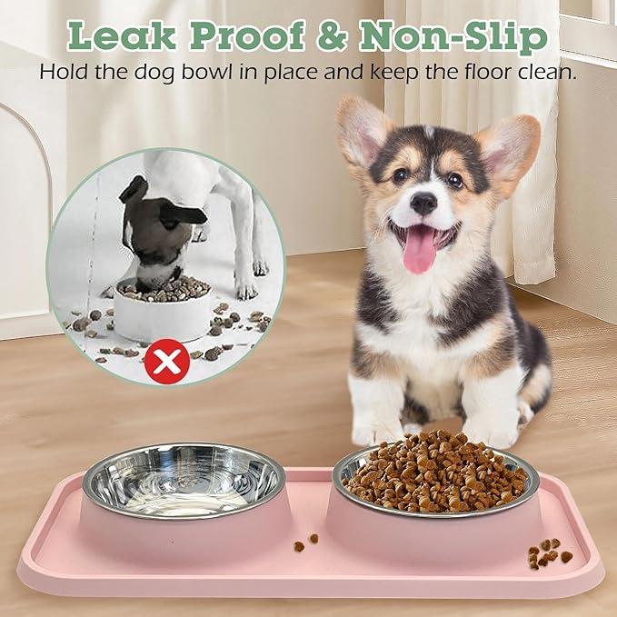 BNOSDM Double Dog Food Bowls Stainless Steel Dog Food and Water Bowls - Image 2