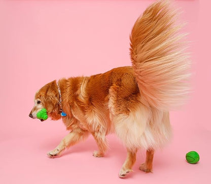 Hartz DuraPlay Bacon Scented Dog Toys - Image 5