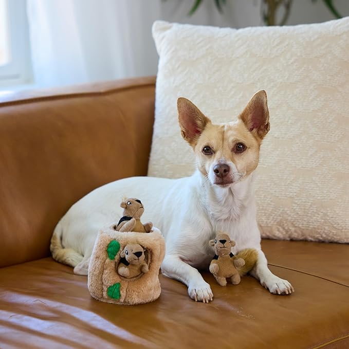 Outward Hound Hide-A-Squirrel Dog Toy – Interactive 2‑in‑1 Plush Puzzle - Image 6