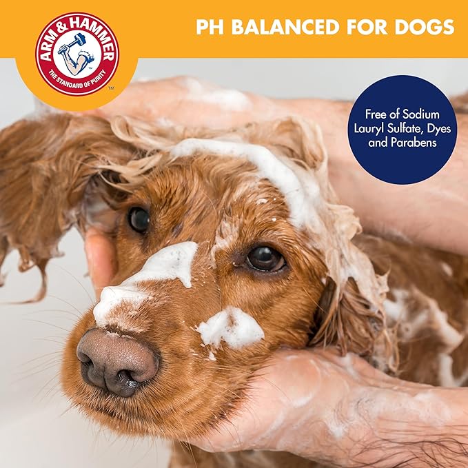 Arm & Hammer for Pets Odor Control No-Rinse Foam for Dogs, Kiwi Blossom Scent - Image 5