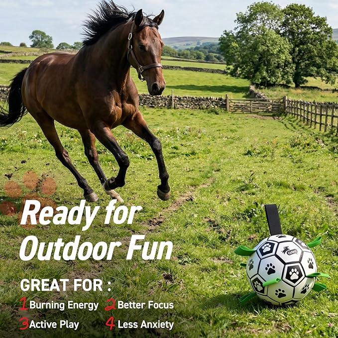 QDAN 10 Inch Gaint Dog Soccer Ball - Image 4
