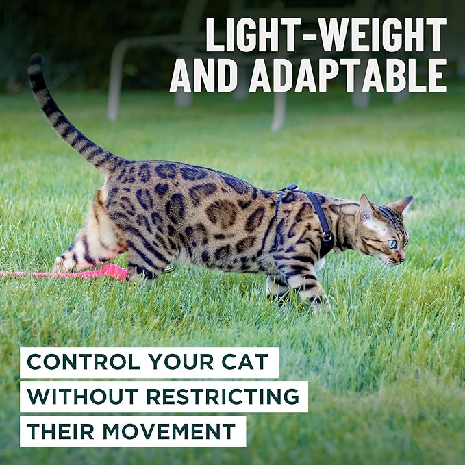 Houdini™ Escape Proof Cat Harness and Leash Set by OutdoorBengal – Turquoise - Image 7