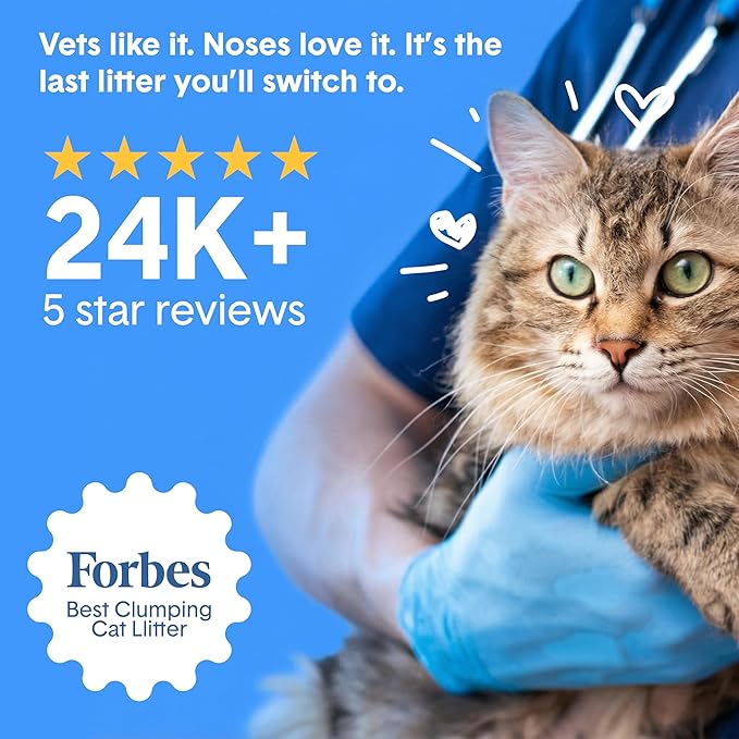 Boxie Glo Clumping Clay 30 Day Odor Control Cat Litter, 99.9% Dust-Free - Image 6