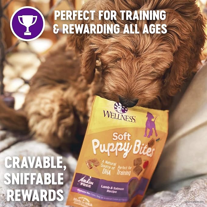 Wellness Soft Puppy Bites Healthy Grain-Free Treats - Image 3