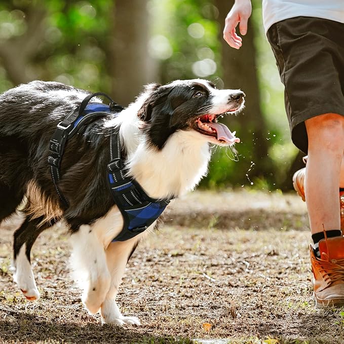 rabbitgoo Dog Harness No-Pull, Comfortable Padded Plaid Harness - Image 8