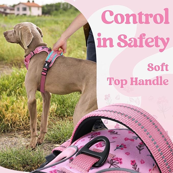 rabbitgoo Dog Harness Small Sized, No Pull Easy On & Off - Image 5