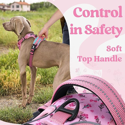 rabbitgoo Dog Harness for Large, No Pull Easy On & Off - Image 5
