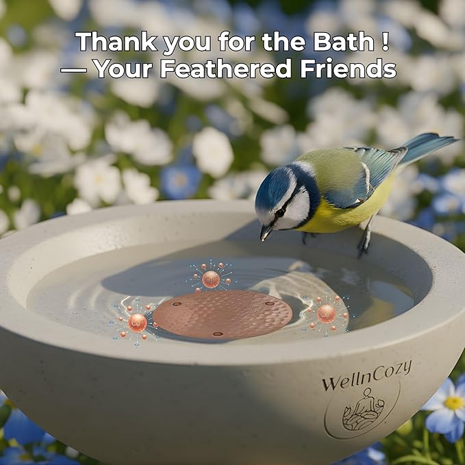 Copper Disc for Bird Bath & Maintenance Set, 99.9% Pure Copper Plate 0.8mm - Image 9