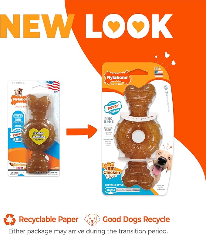 Nylabone Ring Bone Puppy Chew Toy - Image 3