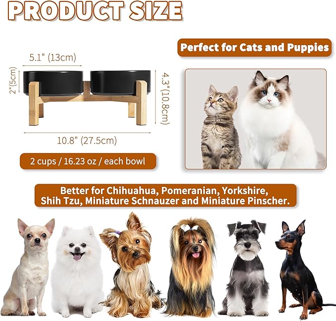 Elevated Ceramic Dog Bowl Set - Image 2