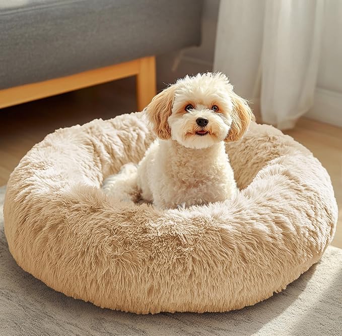 JOLLYVOGUE Dog & Cat Bed, Calming Anti-Anxiety Pet Bed by JOLLYVOGUE