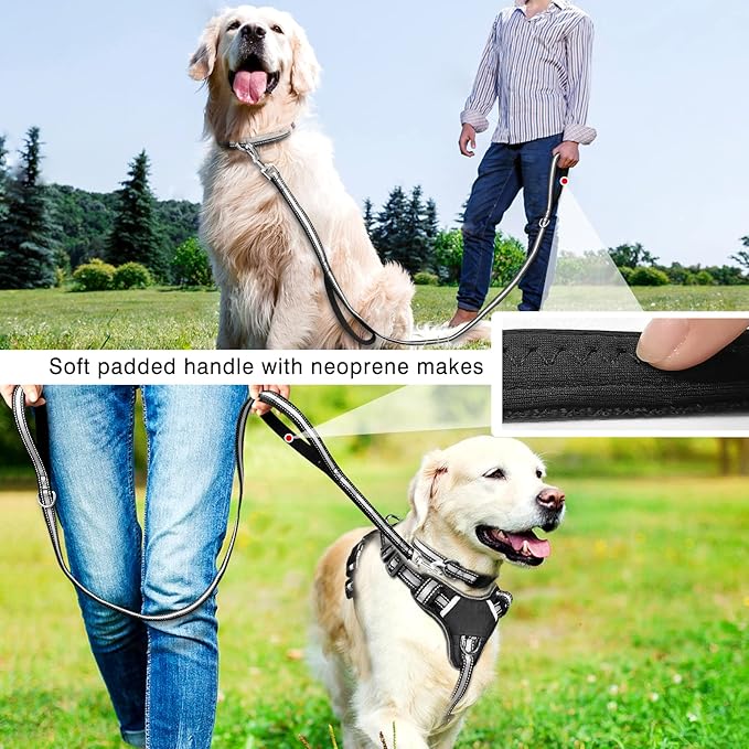 WINSEE Pet Harness Collar and Leash Set, All-in-one Reflective Dog Harness No - Image 6