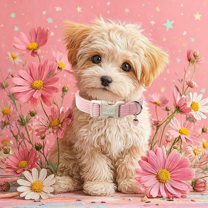 Cute Corduroy Dog Collar - Image 2