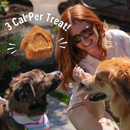 Wellness Crunchy Puppy Bites Dog Training Treats, Grain Free, Chicken and - Image 9