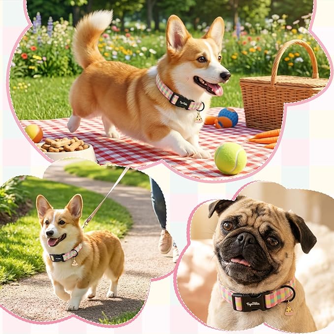 Dog Collar with Colorful Check Pattern, Spring Summer Collection Dog Collar - Image 5