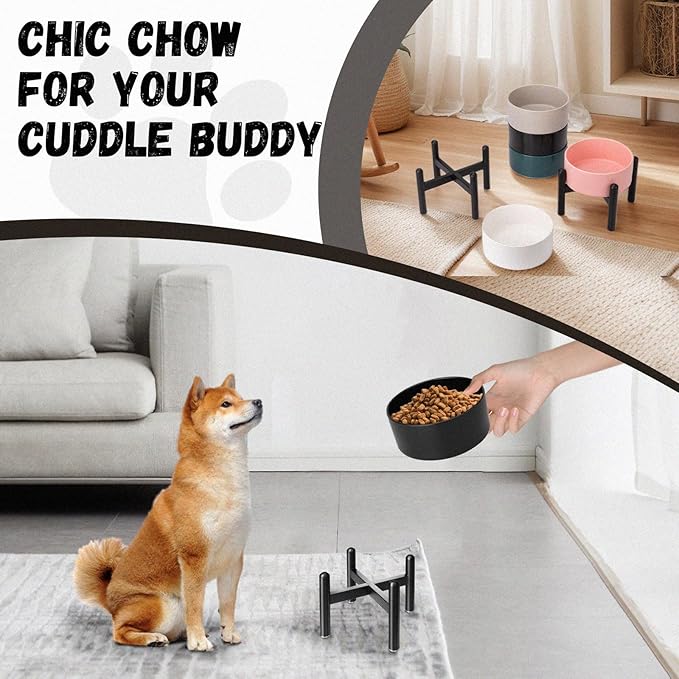 Raised Ceramic Dog Bowl, 6.1'' Modern Feeding Bowl - Image 8