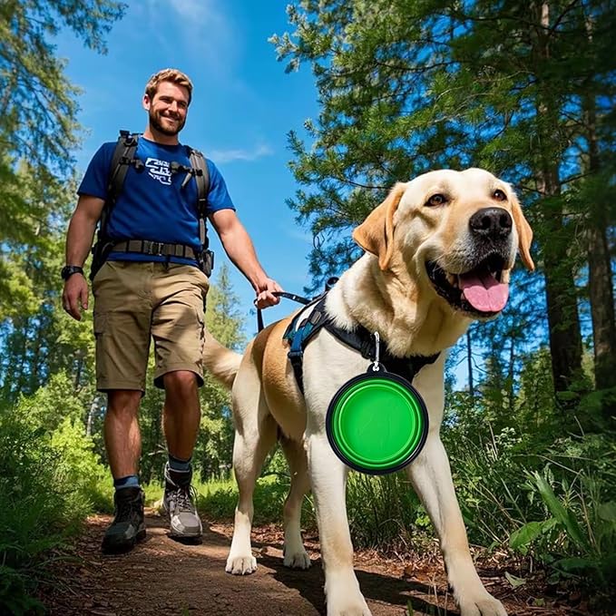 Dog Bowl Pet Collapsible Bowls, 2 Pack Collapsible Dog Water Bowls - Image 6