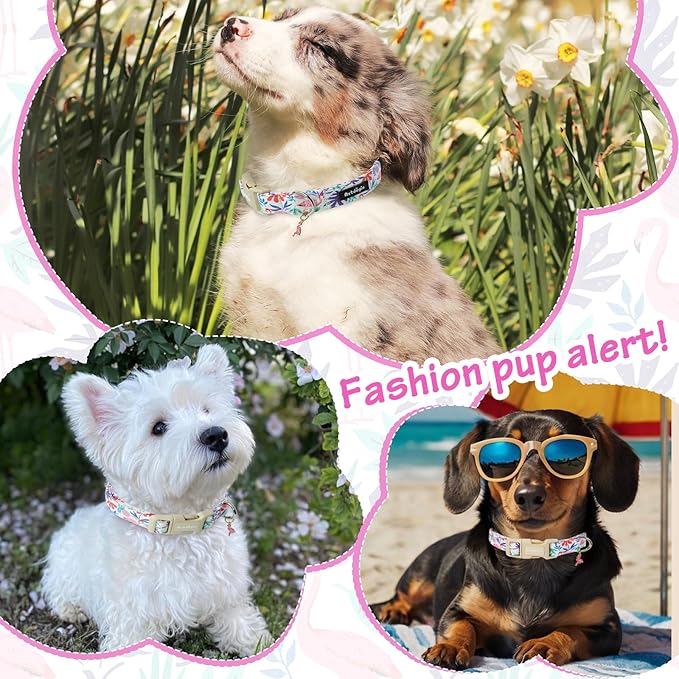 Summer Dog Collar for Small Dogs，Cute Puppy Collars - Image 4