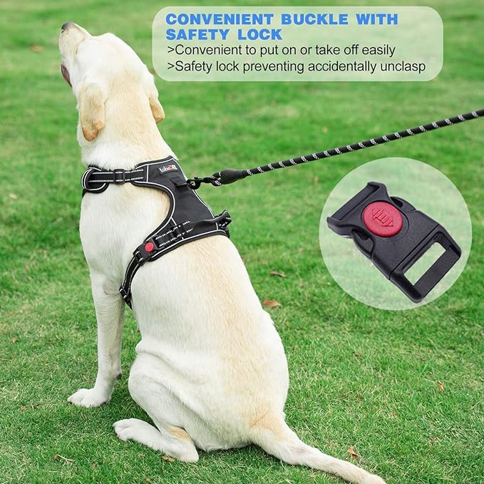 tobeDRI No Pull Dog Harness Adjustable Reflective Oxford Easy Control Medium - Image 4