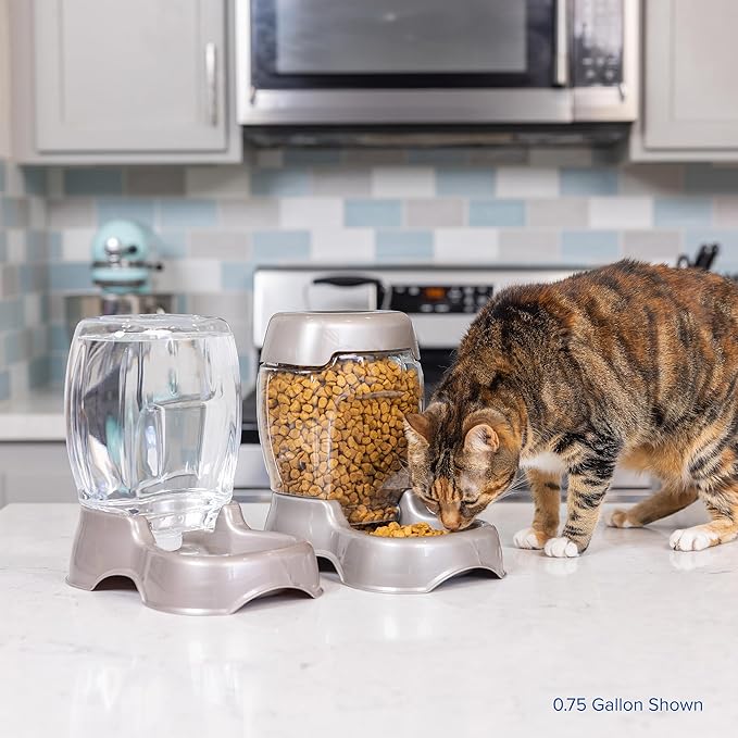 Petmate Pet Cafe Cat and Dog Water Dispenser Extra Small Water Bowl - Image 6