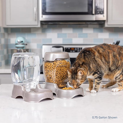 Petmate Pet Cafe Cat and Dog Water Dispenser Extra Small Water Bowl - Image 6