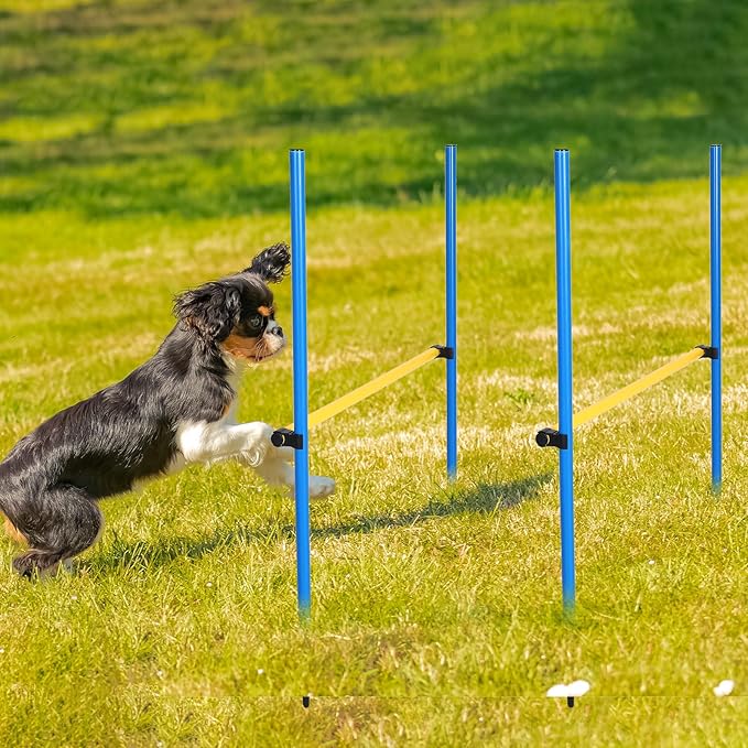 Hollowfly 8 Set Dog Agility Jump Adjustable Dog Agility Hurdle Training - Image 5