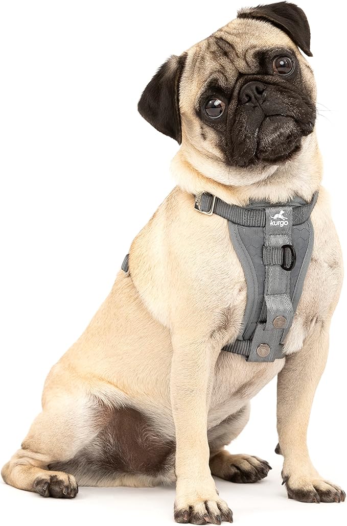Kurgo Enhanced Strength Tru-Fit Dog Car Harness by Kurgo