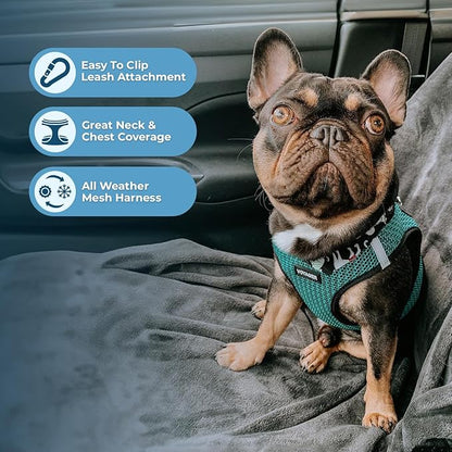 Voyager Step-in Air Dog Harness - Image 4