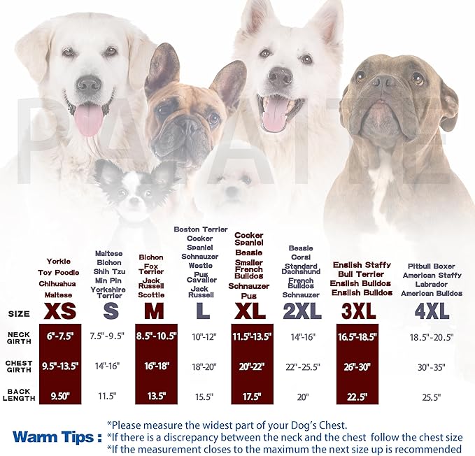 Discover Cozy Sleeveless Canine Wear: Soft, Lightweight, and Breathable Cotton - Image 3