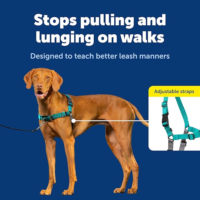 PetSafe Easy Walk No-Pull Dog Harness - Image 3